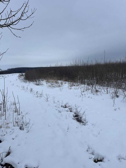 Оренда земельної ділянки, Хмельницька обл., площею 19,9800 га.