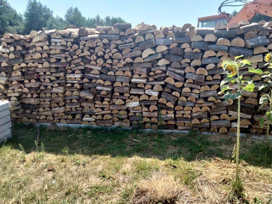 Drewno drzewo kominkowe, opałowe-TRANSPORT GRATIS
