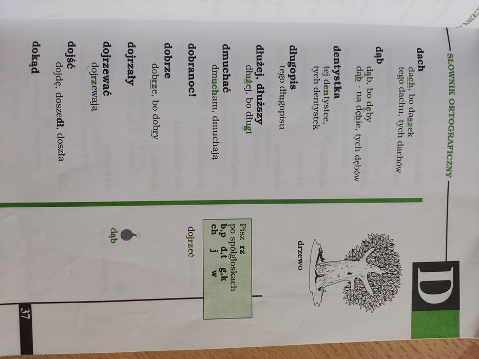 Słownik ortograficzny dla klas I-IV