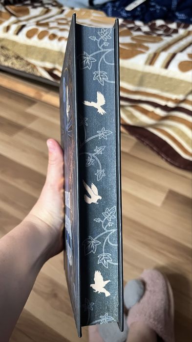 Пісня вічних дощів, 300 грн