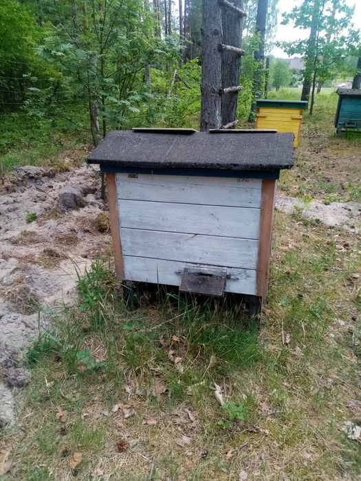 Sprzedam ule warszawskie poszerzone