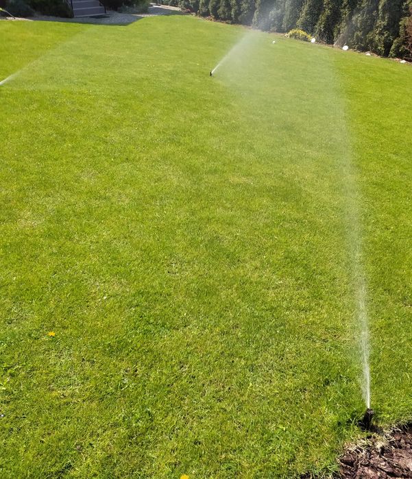 Usługi ogrodnicze, wertykulacja trawnika