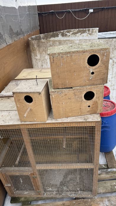 Budki legowe dla papug