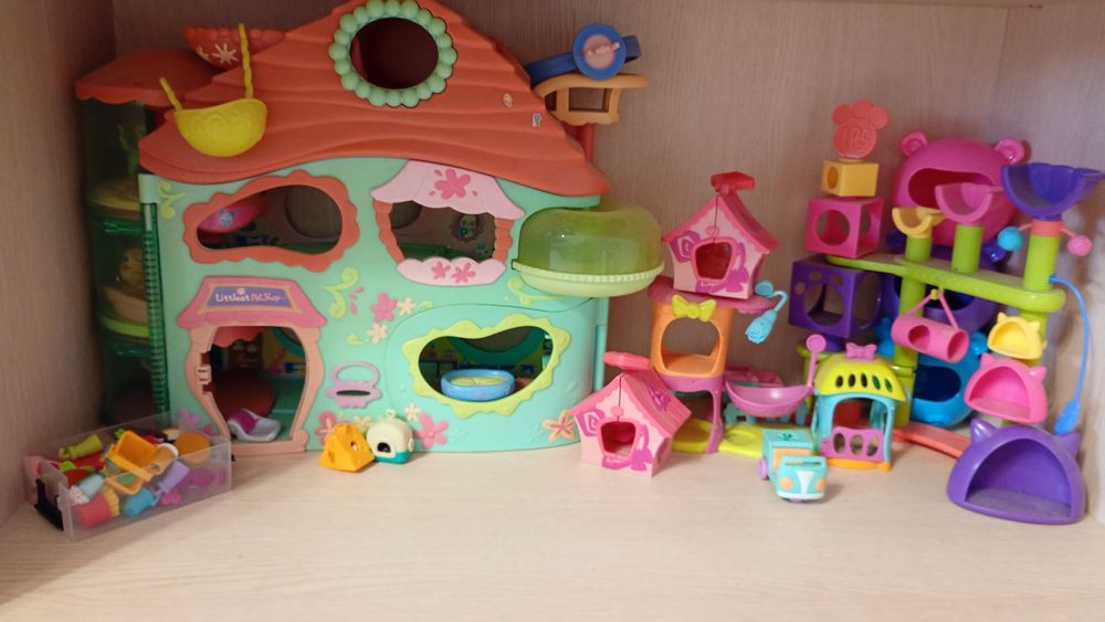 Lps pop i shorthair i nie tylko