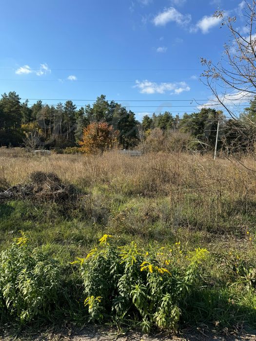 Продам найкращу земельну ділянку,біля ЛІСУ, розміри30*40,кутова, 8км