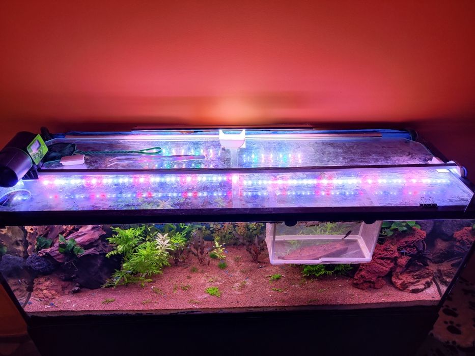 Cala iluminaria para aquario 60cm RGB