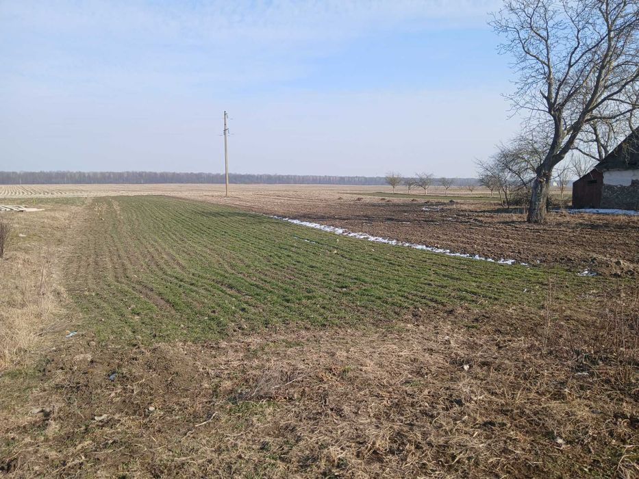 Земельна ділянка, ≈ 0,48 га.