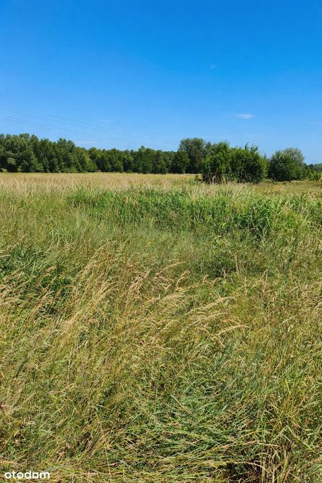Na sprzedaż atrakcyjna działka budowlana – Mikołów (Paniowy)