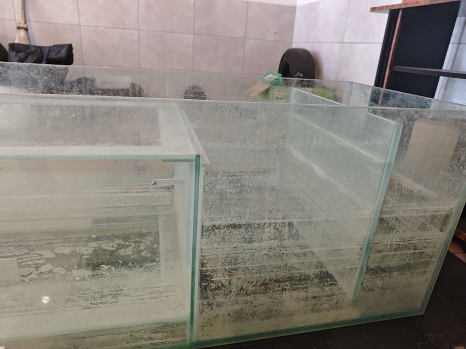 Urgente Aquário sump 500l