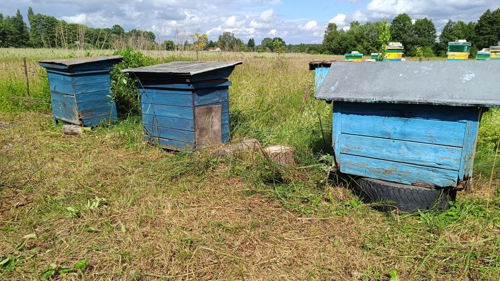 Вулики на українську рамку