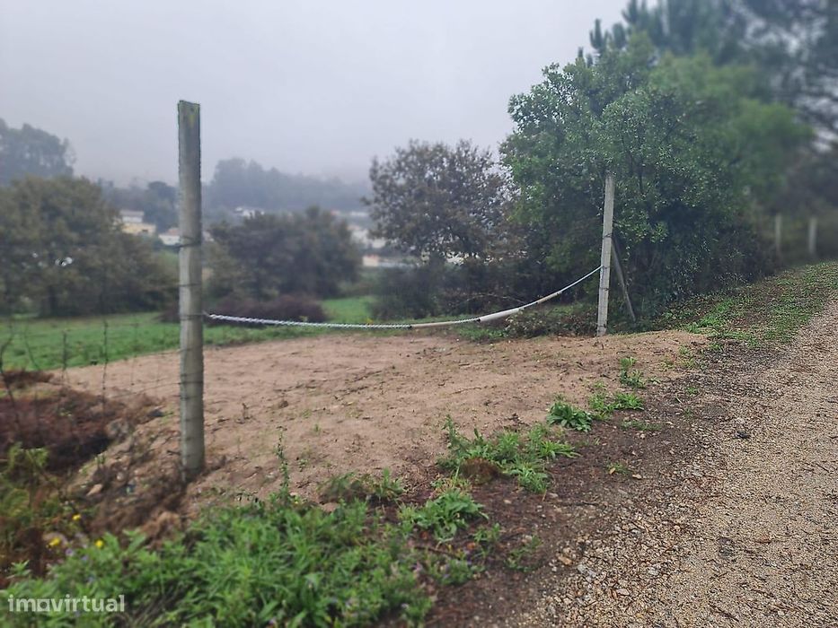 Terreno  para venda — Pinheiro Da Bemposta, Travanca E Palmaz, Aveiro