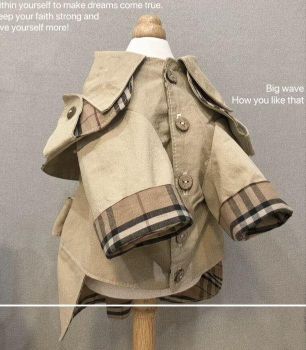 Одяг для собак / Плащ для собаки