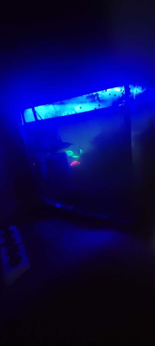 Akwarium akuela 100l