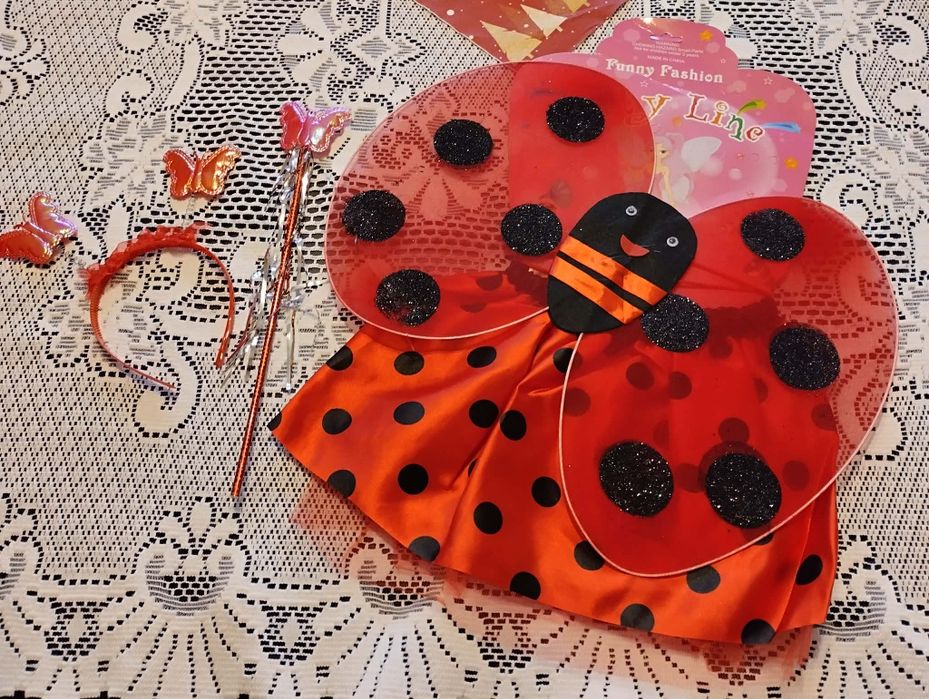 Kostium strój biedronki