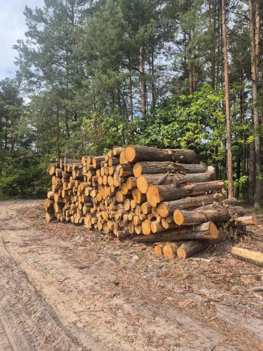 Drewno opałowe Dąb Brzoza Olcha