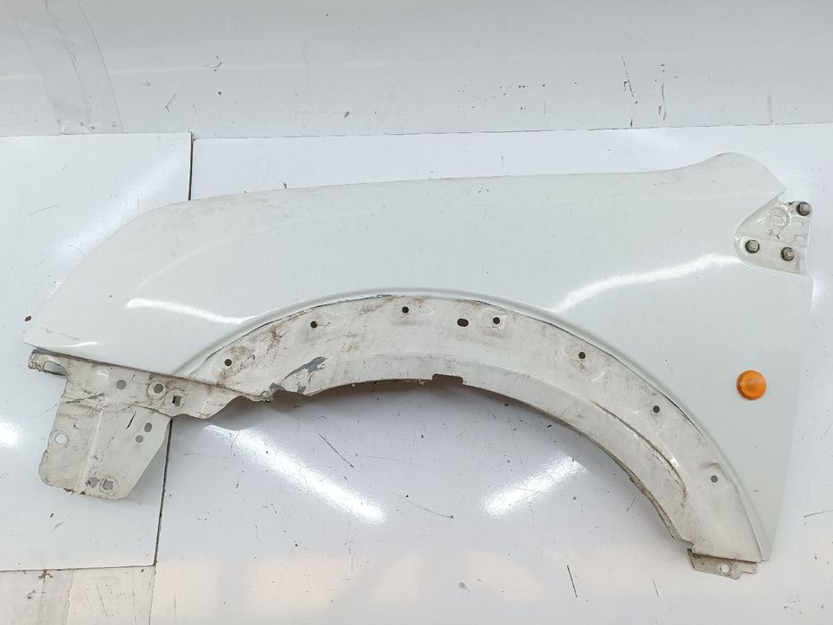 Guarda Lamas Esquerdo - FORD Transit Connect (P65_, P70_, P80_) | 02 -