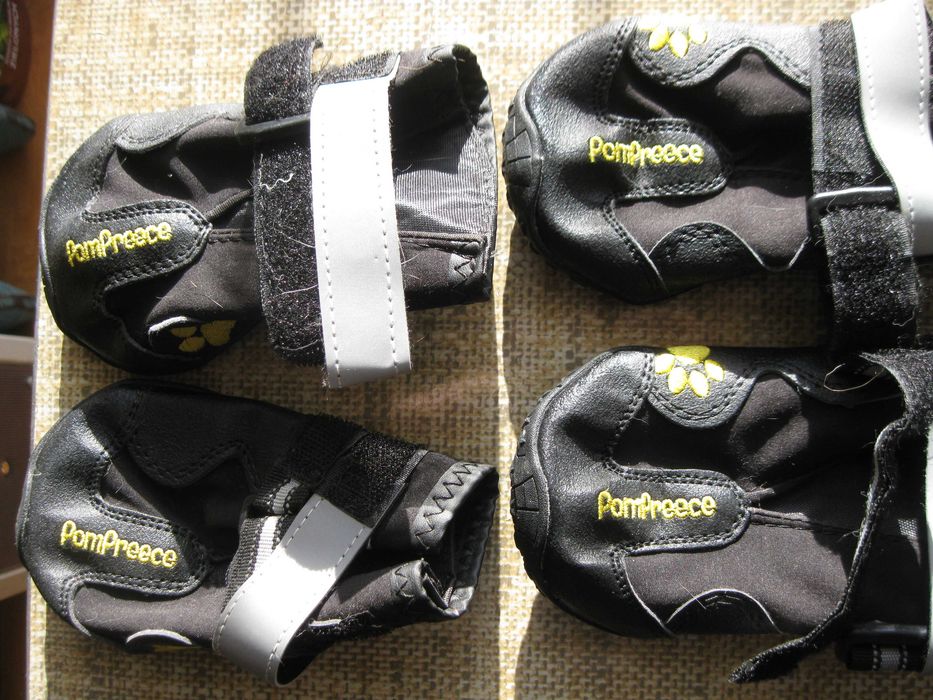 Buty - Ochraniacze  dla Psa  Nr 7