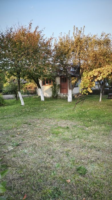 Sprzedam działkę ROD Podlesie w Leżajsku – 300 m² murowana altana - Widok 3