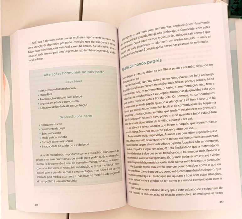 Livro "Estamos Grávidos! E Agora?" – Carmen Ferreira