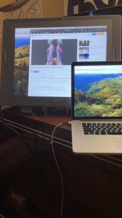 Графічний планшет Wacom Cintiq 21ux (DTZ-2100D)