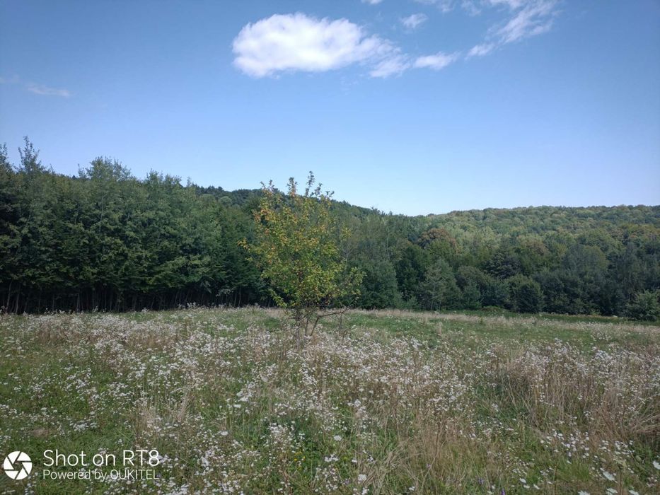 продам земельну ділянку площею 0,1400 га с. Вербовець