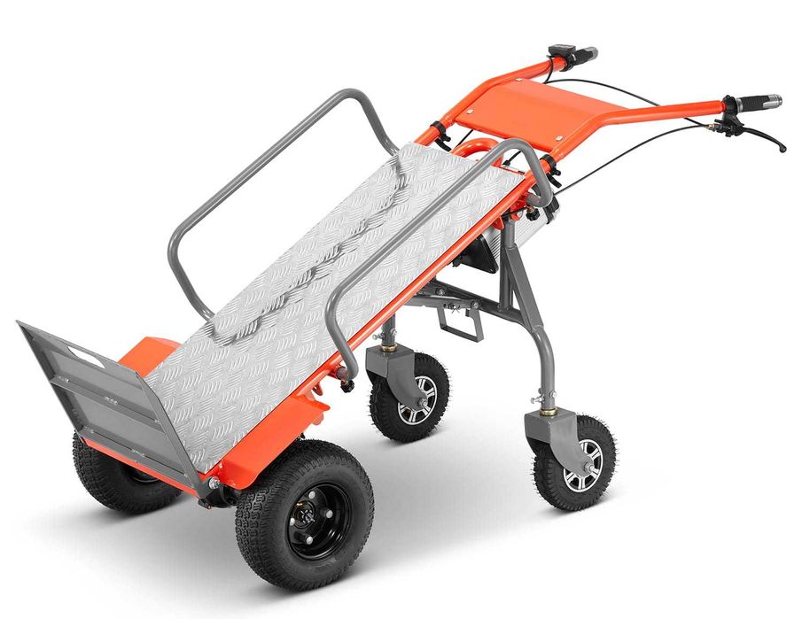 Wózek transportowy elektryczny akumulatorowy magazynowy Bäumr-AG 260kg