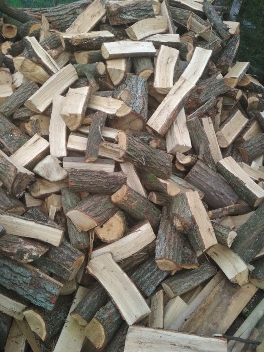 drewno opałowe drzewo pocięte i porąbane , dąb, brzoza