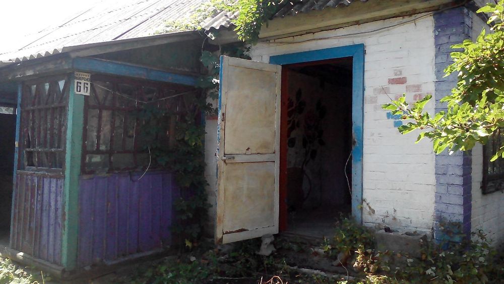 Продається будинок і земля під ОСГ