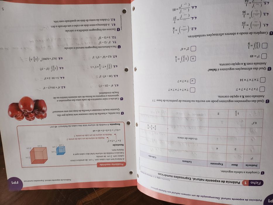 Livro de fichas Máximo 6