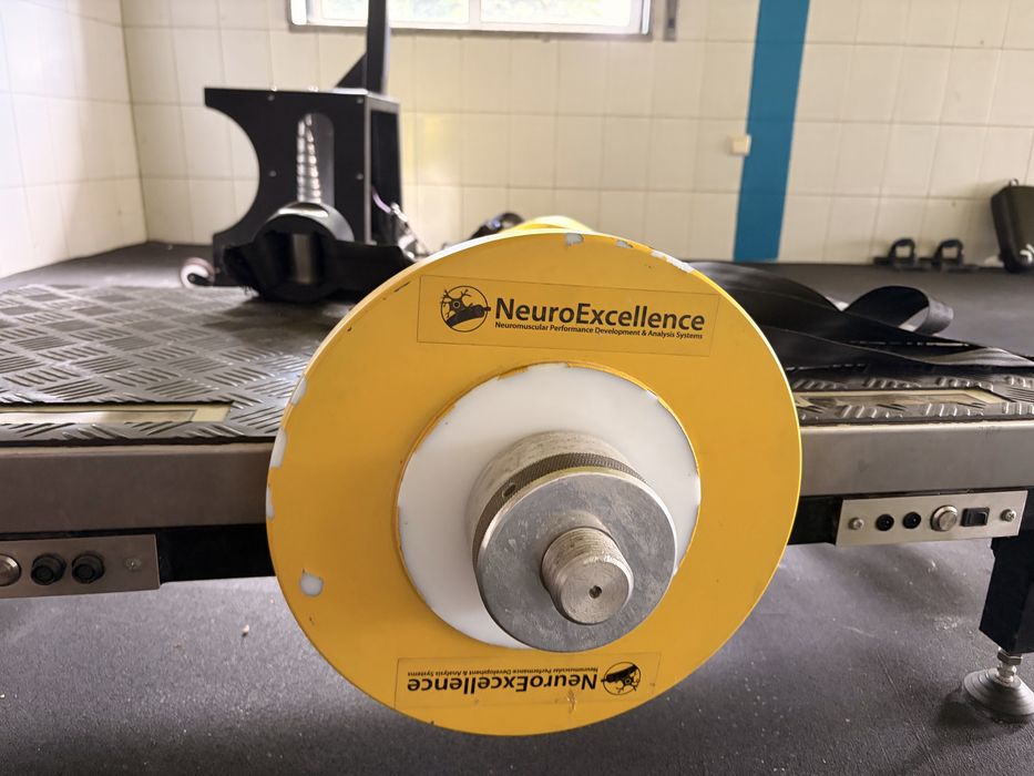 Yo Yo Squat Neuroexcellence