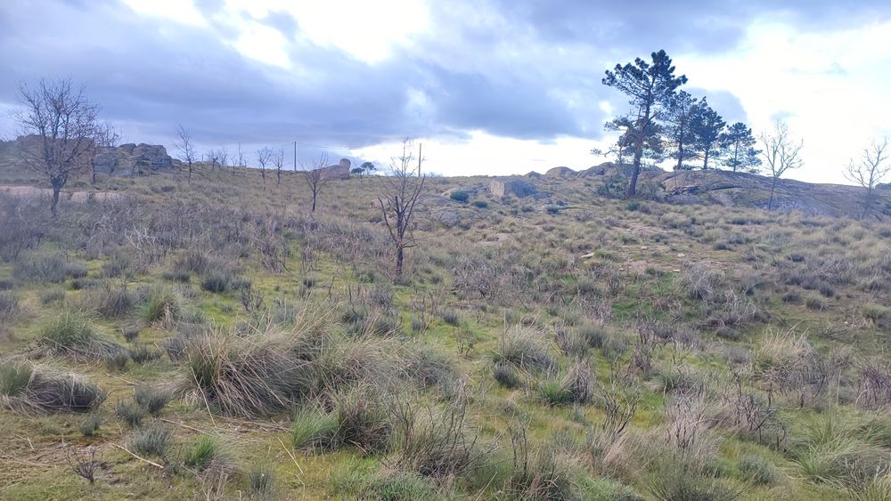 Terreno em Alvendre, Guarda