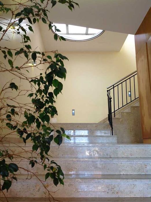 T2 Arrendamento Nazaré