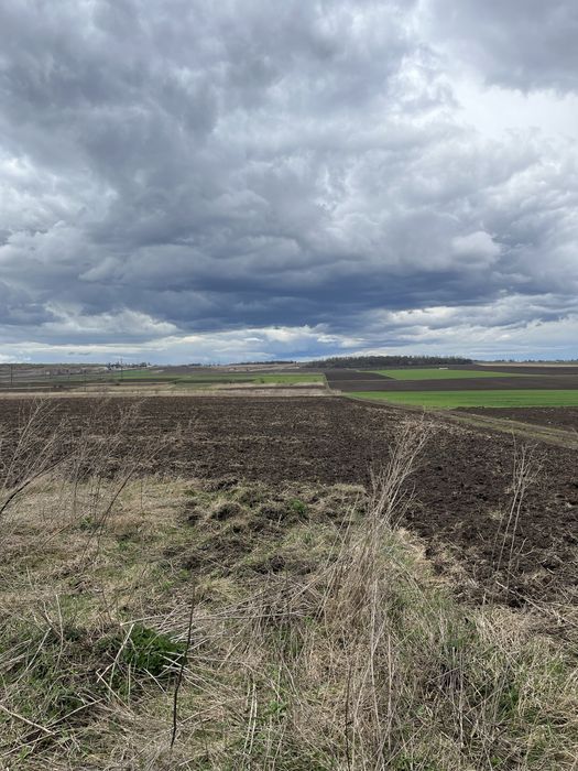 Продам земельну ділянку в с.В.Березовиця
