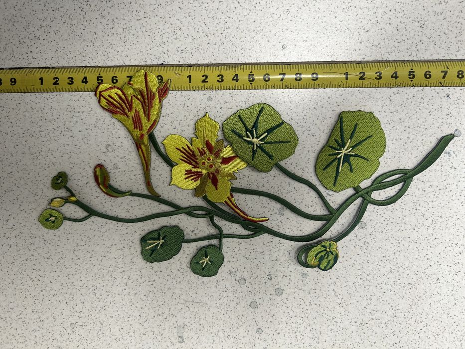 Termo aplikacja żonkile kwiaty