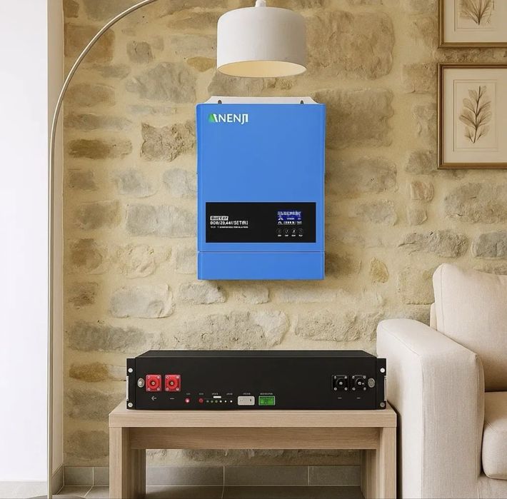 6.2 кВт Комплект Гібридний інвертор Anenji + Dyness B4850 LiFePO4