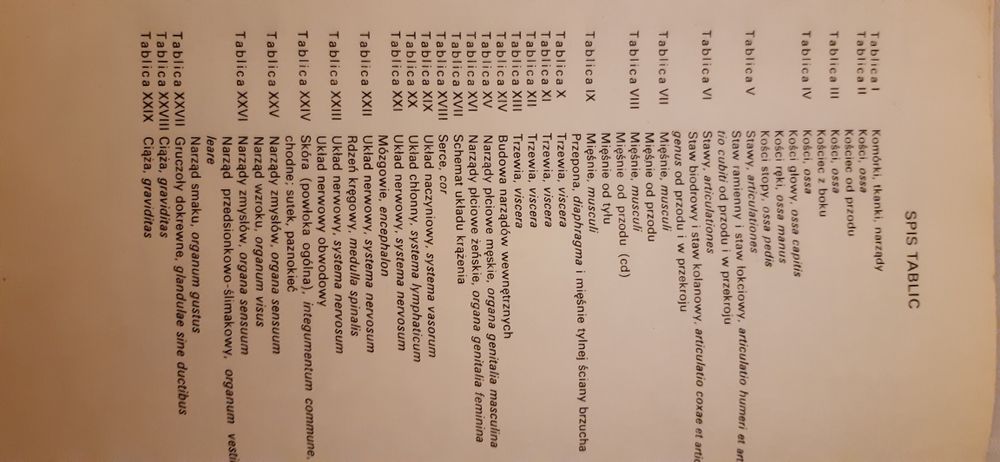 Mały atlas anatomiczny prof. Witold Sylwanowicz