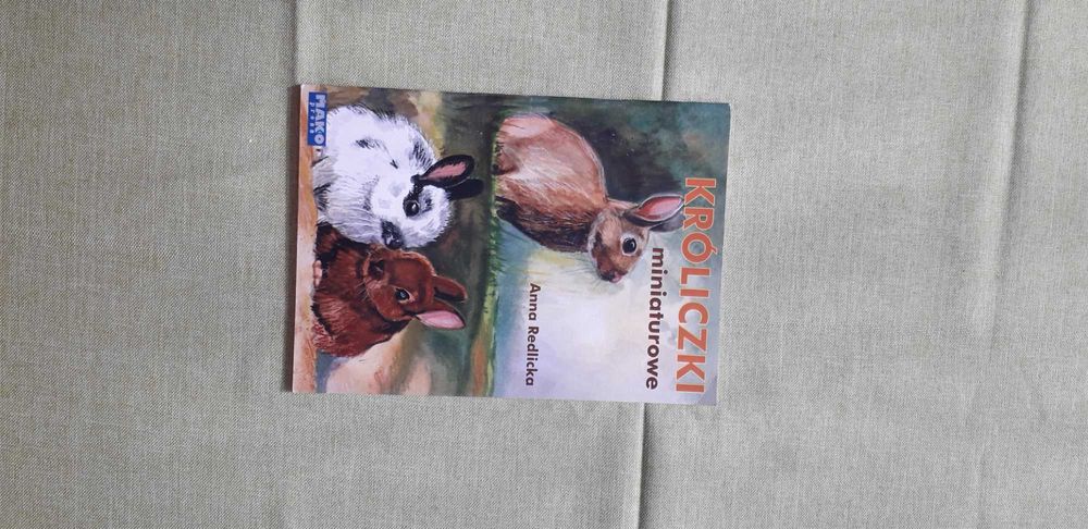 Króliczki miniaturowe Anna Redlicka