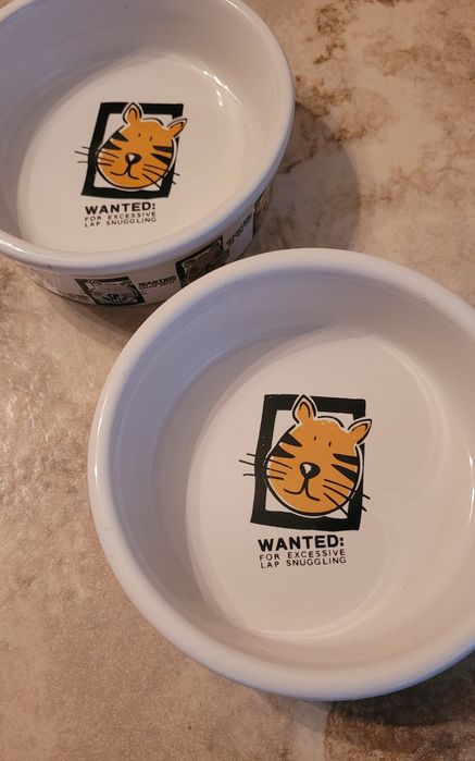 2 керамічні мисочки для котів для води та їжі.