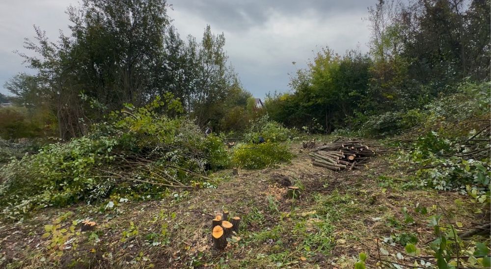 Щепування, подрібнення гілок, чистка