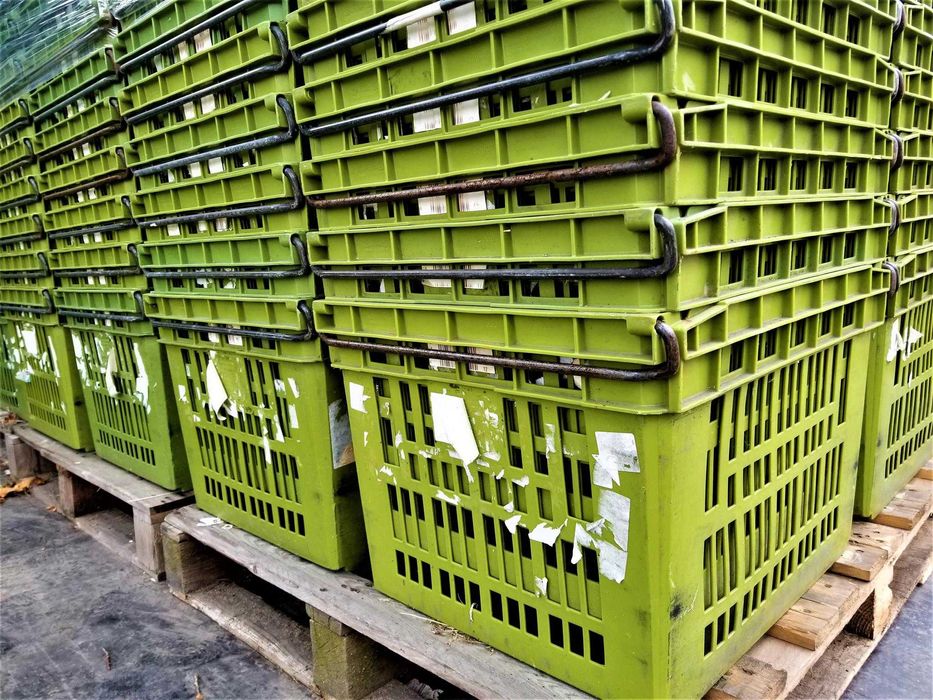 Pojemnik Skrzynka Plastikowa Kosz Box Magazynowy Transportowy Kuweta