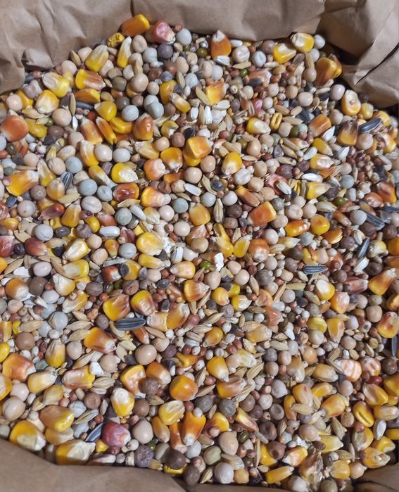 Корм для голубів Perlyna ctepu