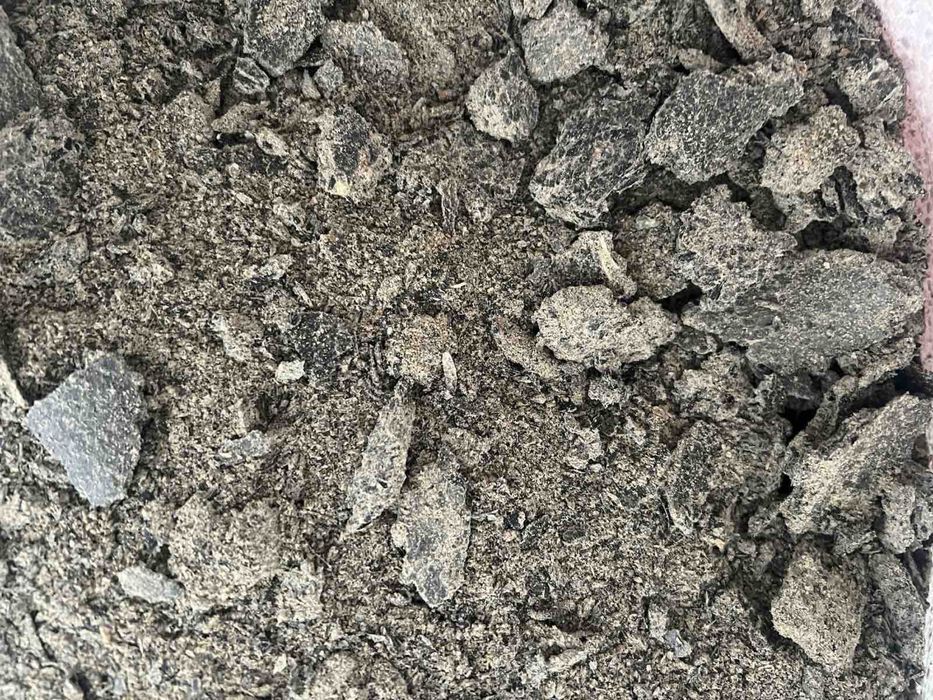 Макуха соняшникова