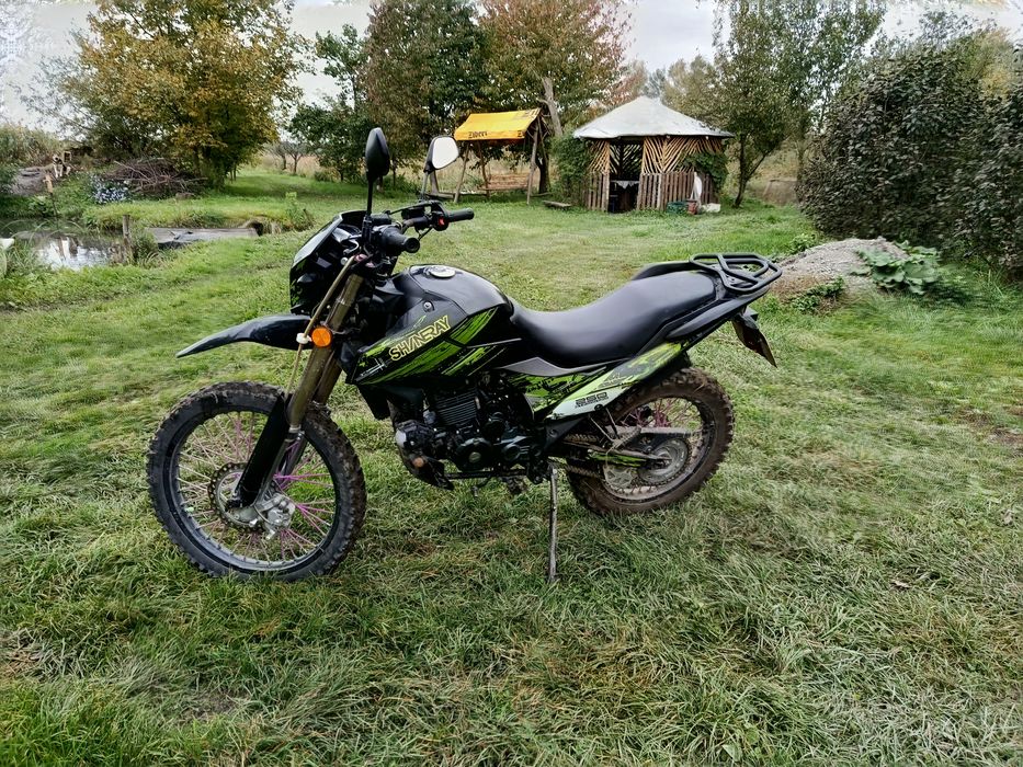 Продам шенерай 6ц