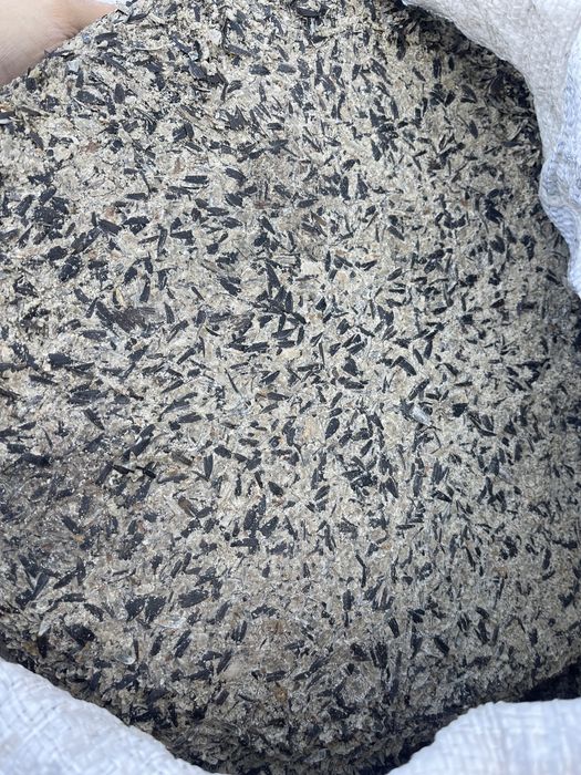 Макуха соняшникова