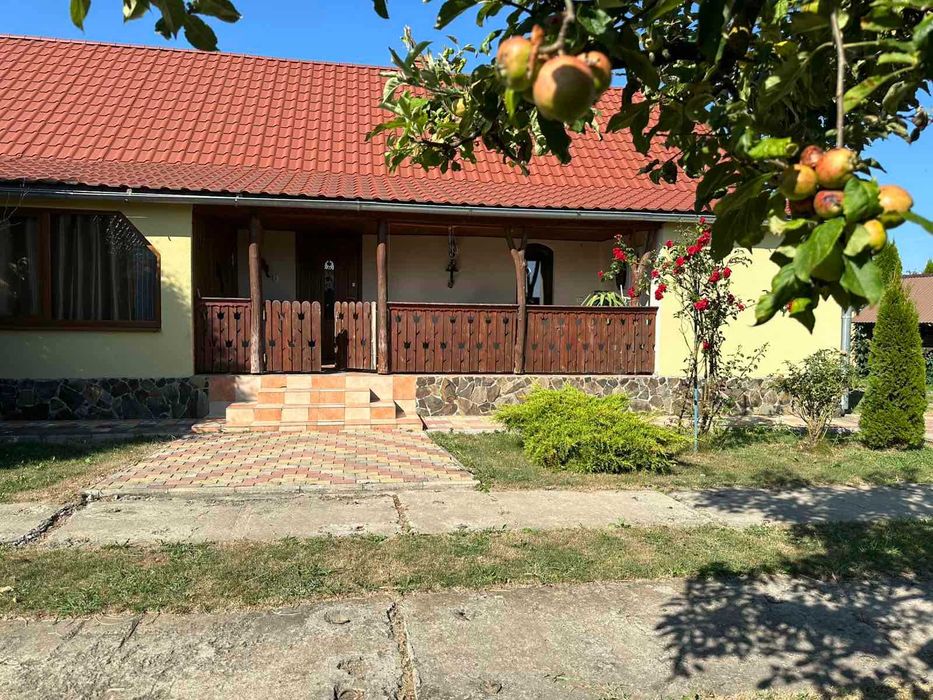 Будинок в Ужгородському районі, гори, неймовірна природа