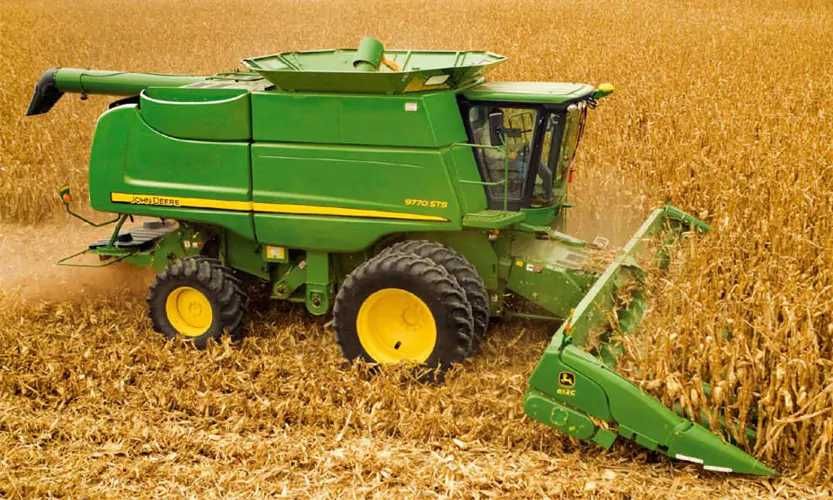 Пшениця домашня в мішках