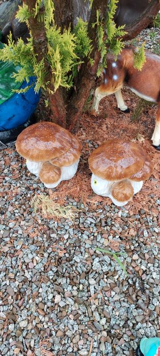 Piękne grzyby do ogrodu 24x26 cm