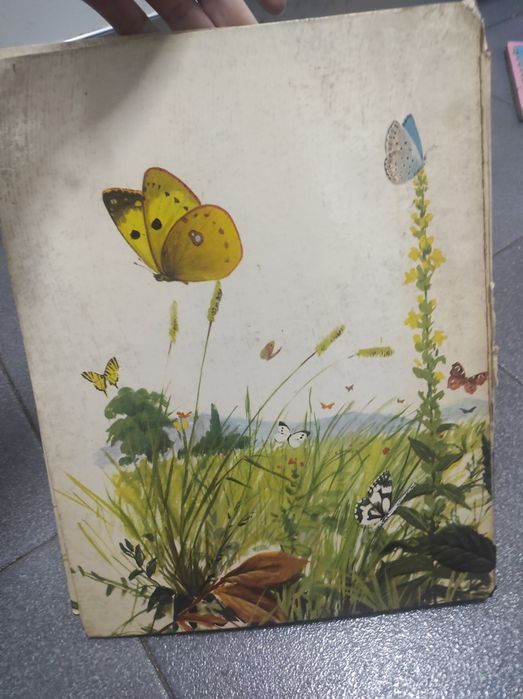 O grande livro das borboletas