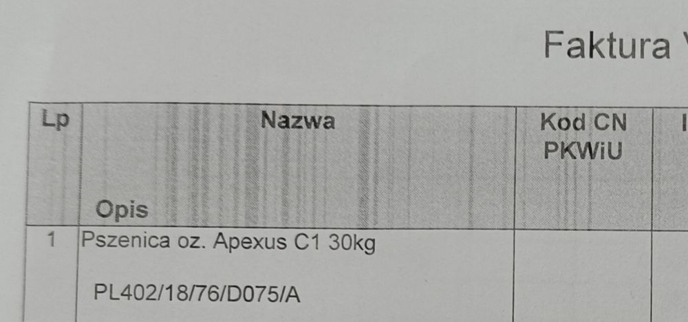Pszenica ozima APEXUS