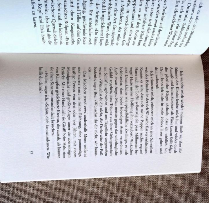 Livro Der Sommer ohne Männer, Siri Hustvedt